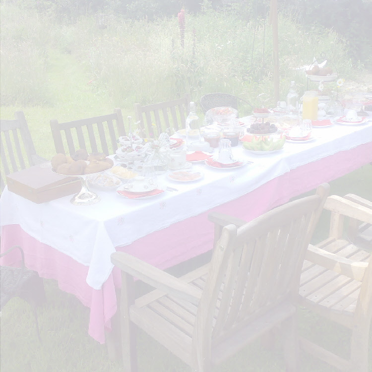 Misses Hyacinth SintOedenrode