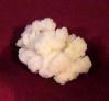 Kefir2.jpg, 1747 bytes, 18-1-2005