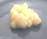 Kefir3.jpg, 24038 bytes, 18-1-2005