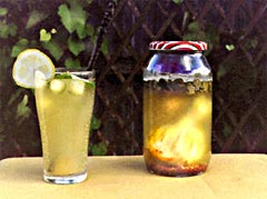 Waterkefir.jpg, 11398 bytes, 18-5-2005