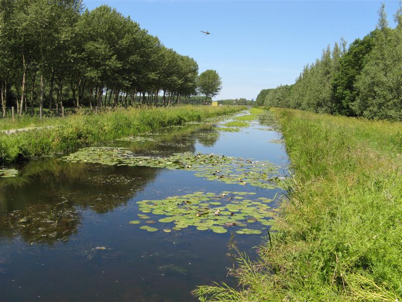 Lange Afstand Wandelen