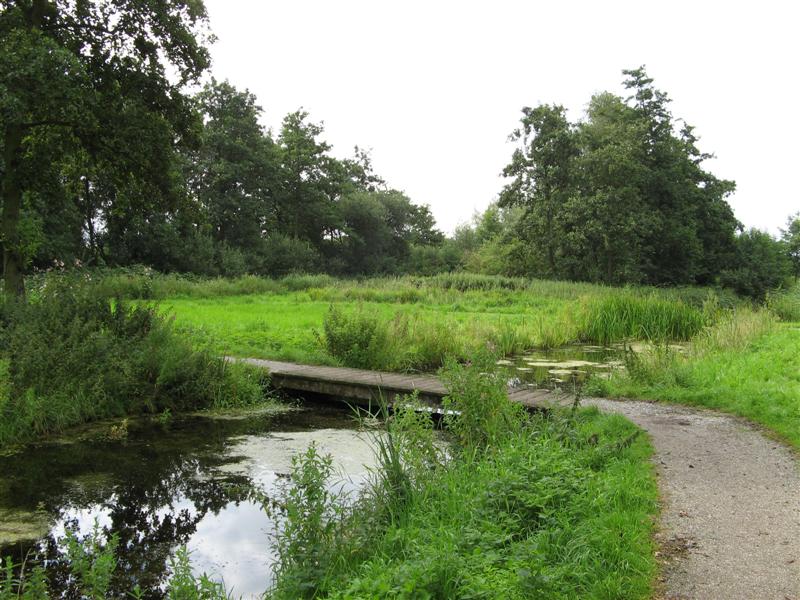 Reeuwijkse Hout Wandelen